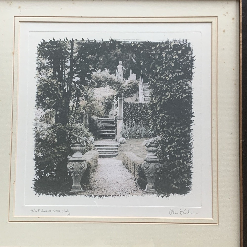 Framed Picture Orto Botanico Romantic Gardens in Siena Italy by Allan Blaustein - Picture 8 of 10